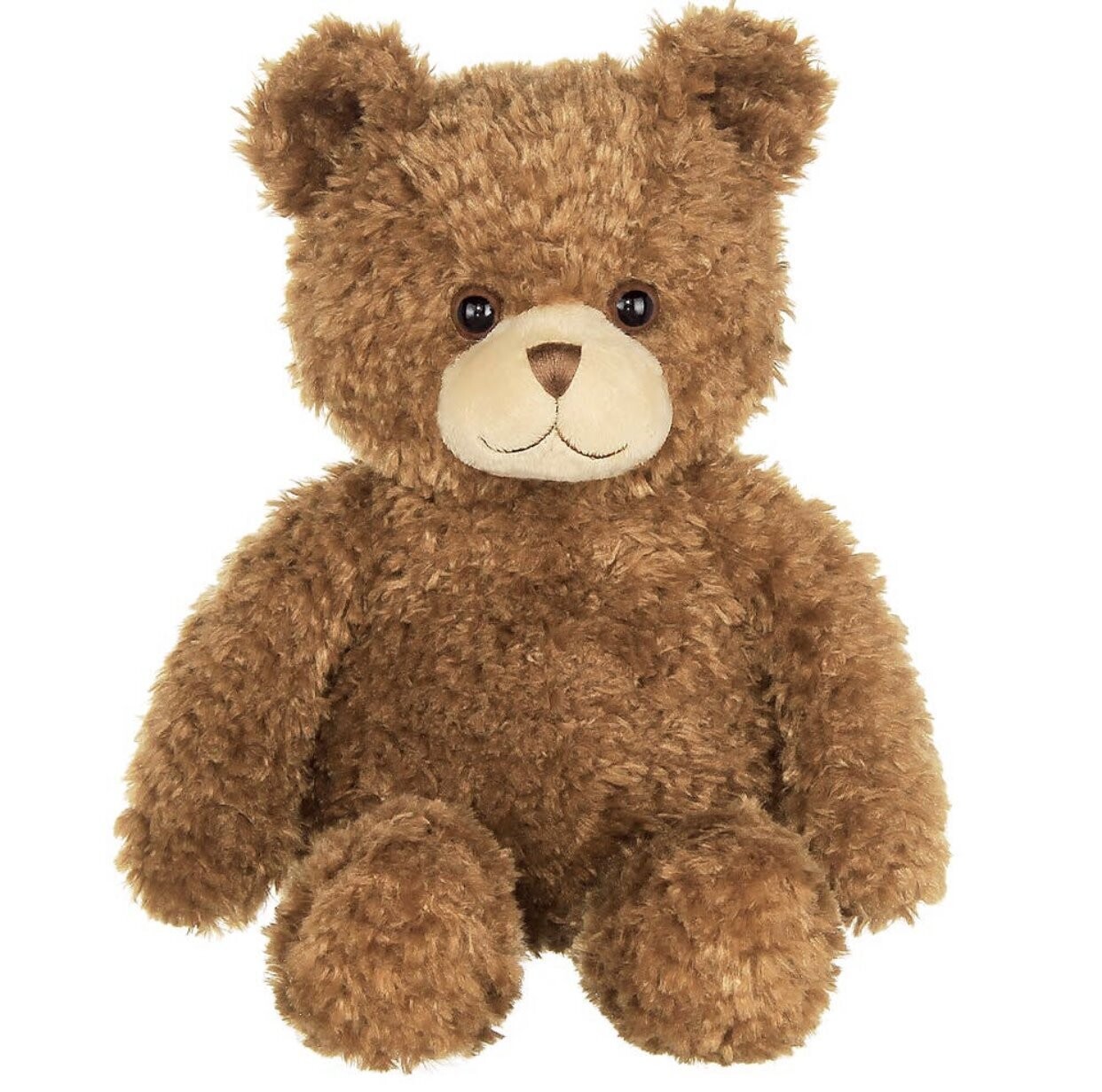 Eddie the Teddy Bear