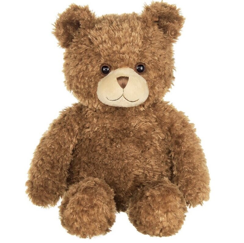Eddie the Teddy Bear