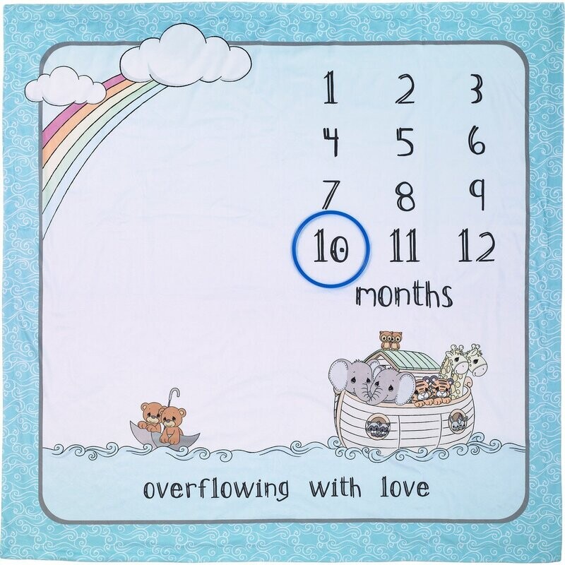 Noah&#39;s Ark Baby Milestone Blanket