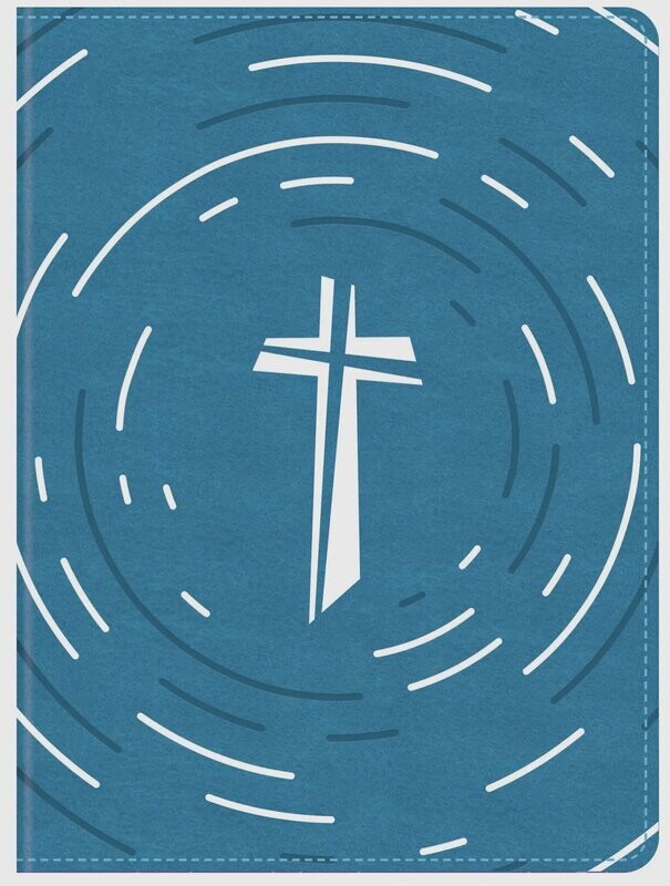 The Daily Wisdom for Boys SKJV Devotional Bible