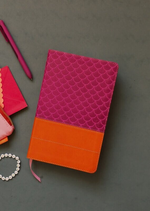 Know Your Bible NLV for Kids Pink/Orange (8-12)