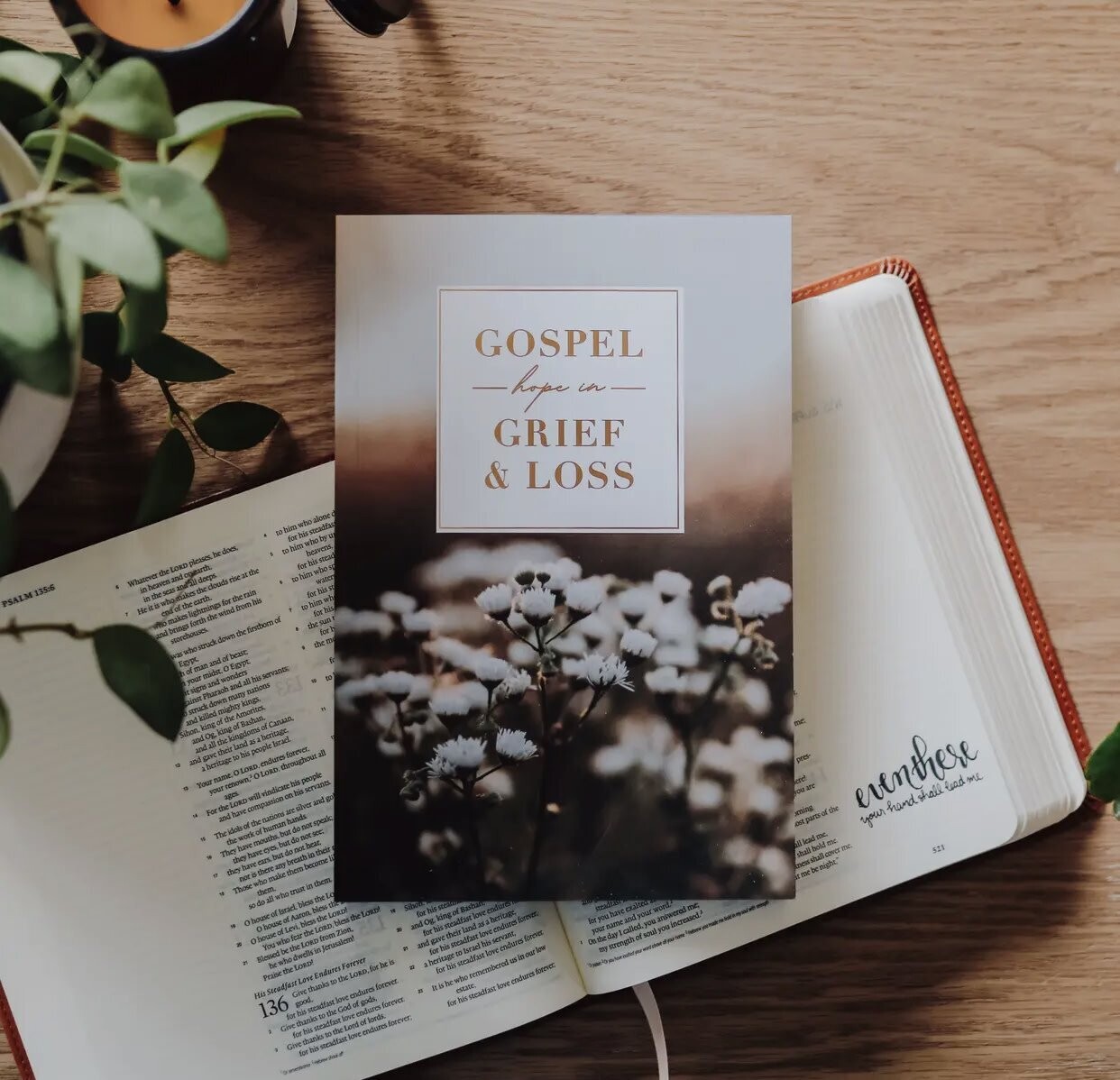 Gospel Hope In Grief &amp; Loss