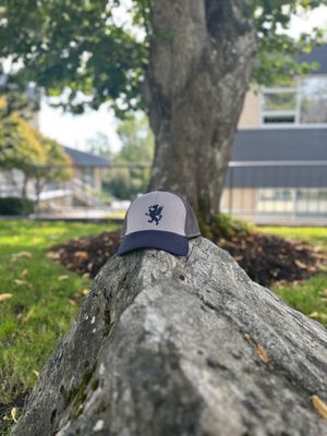 Trucker Mesh Back Cap
