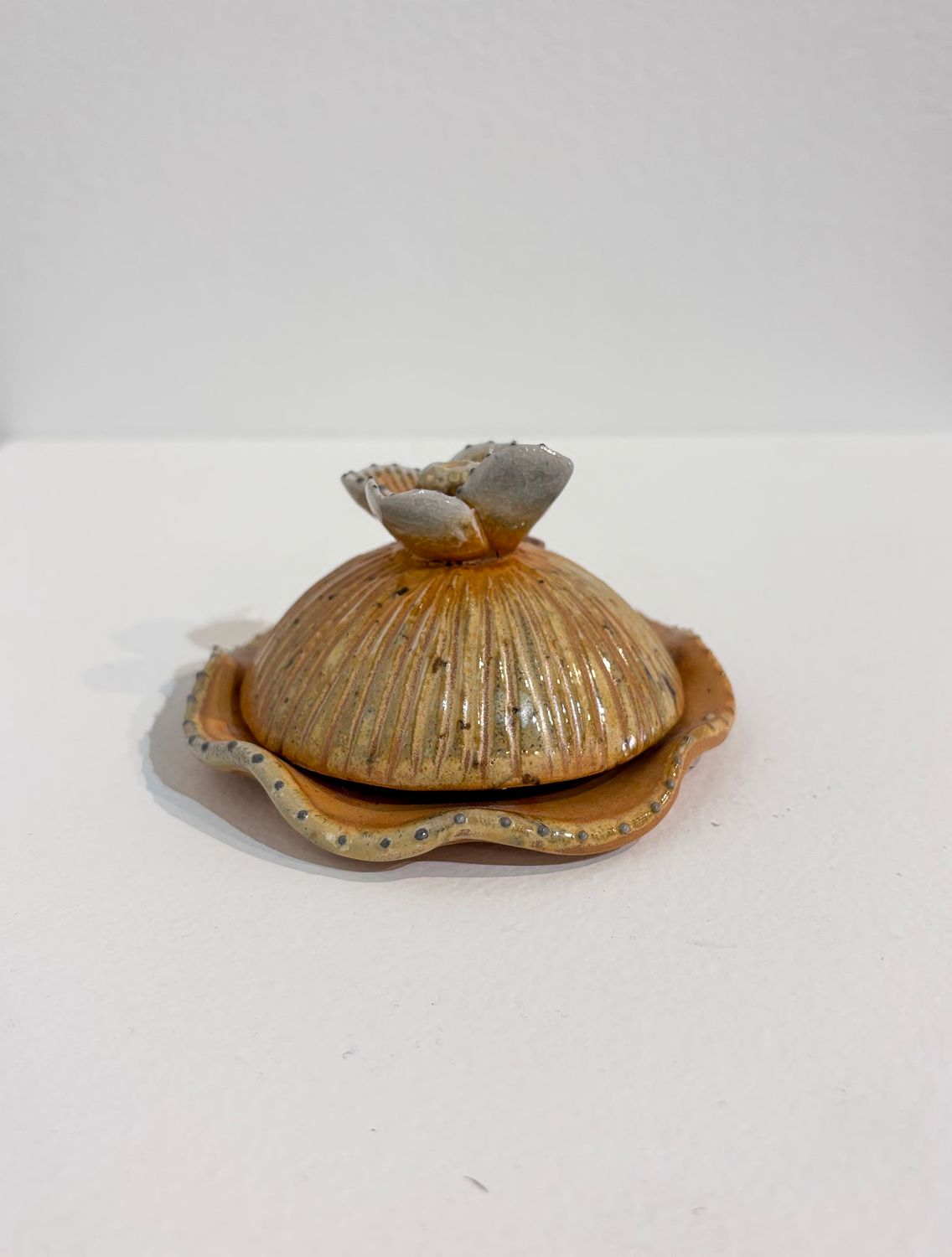 Deborah Wood - 6 Seedpod Trinket Dishes