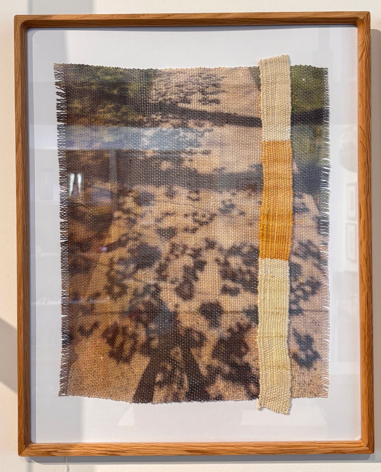 Stephany Latham - Canopy Shadows