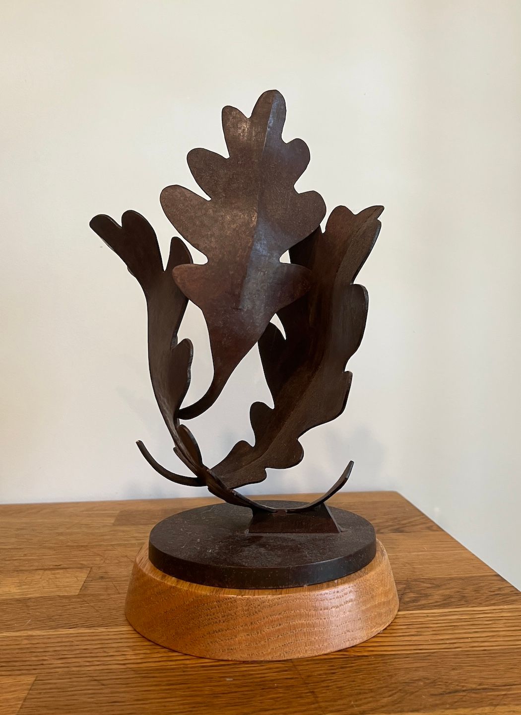 Foster Willey - Indigenous Oak