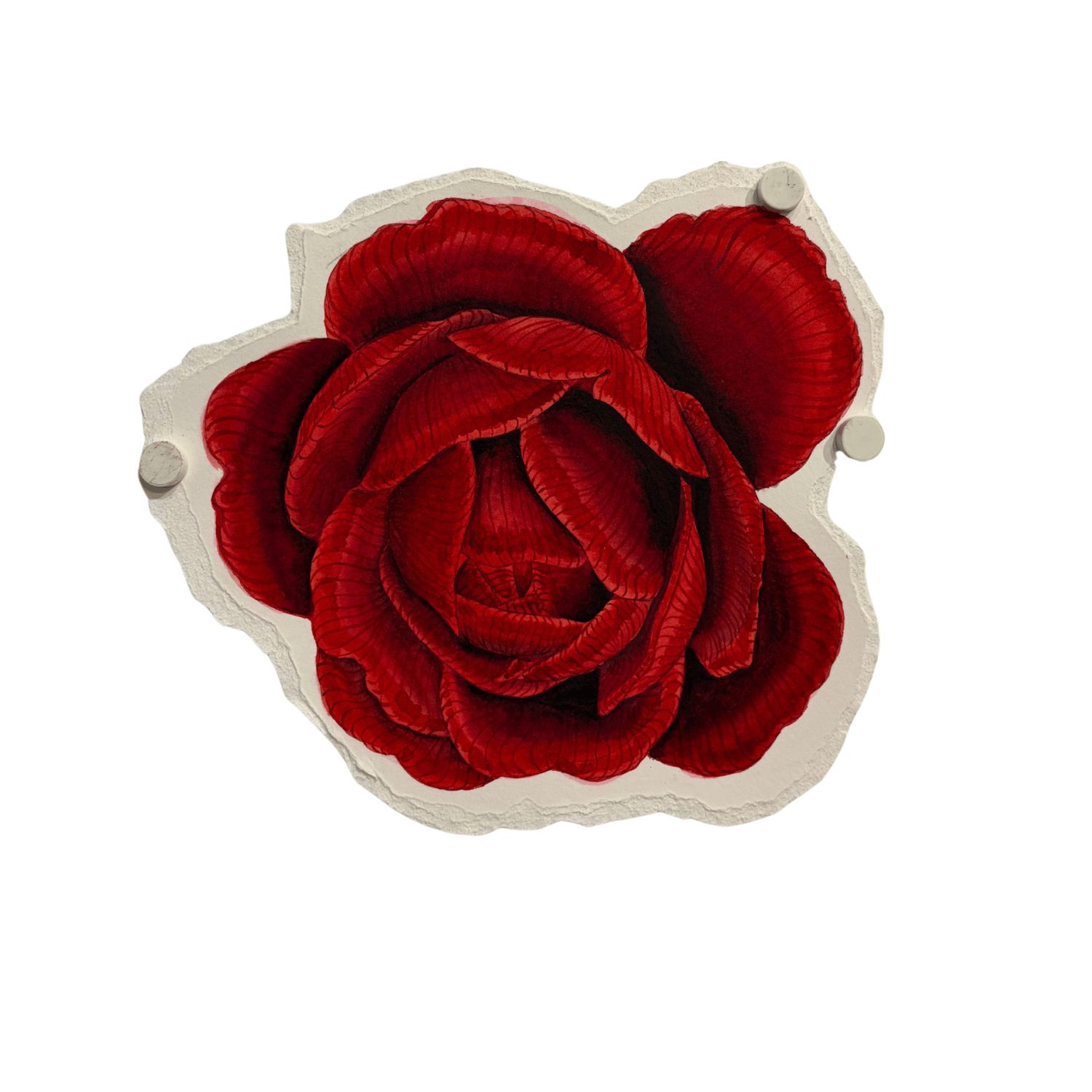 Miranda Kyle - Rose II