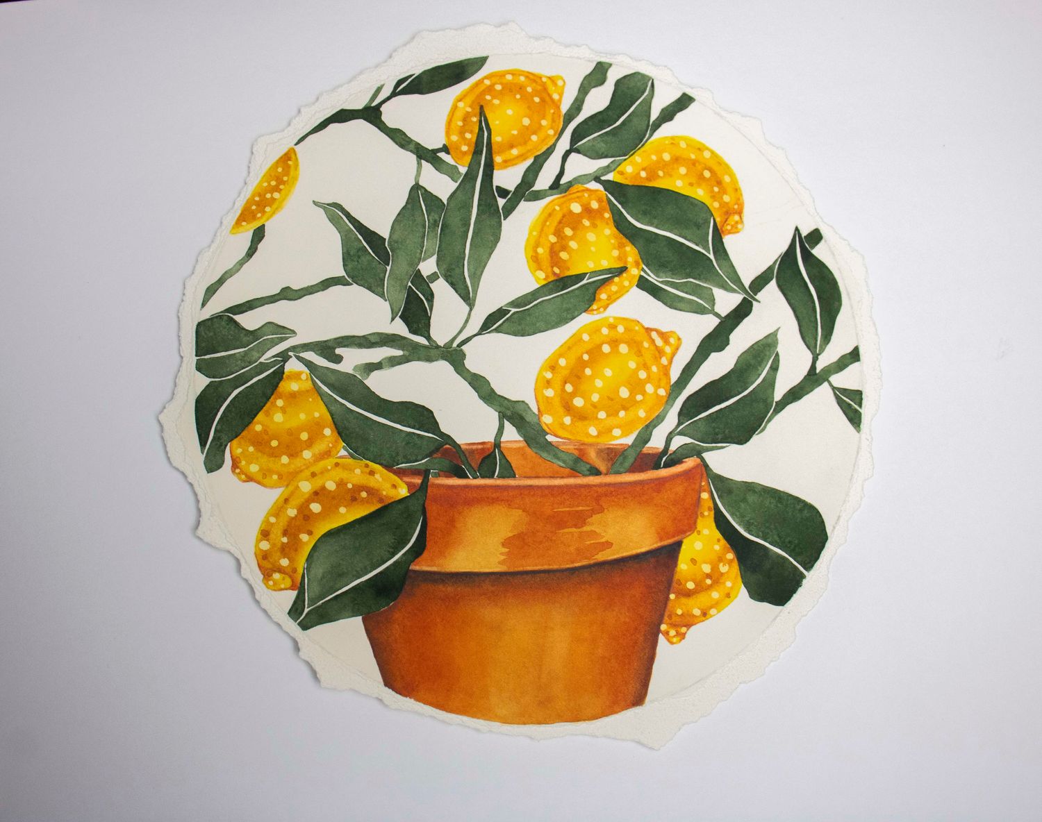 Miranda Kyle - Life's Harvest