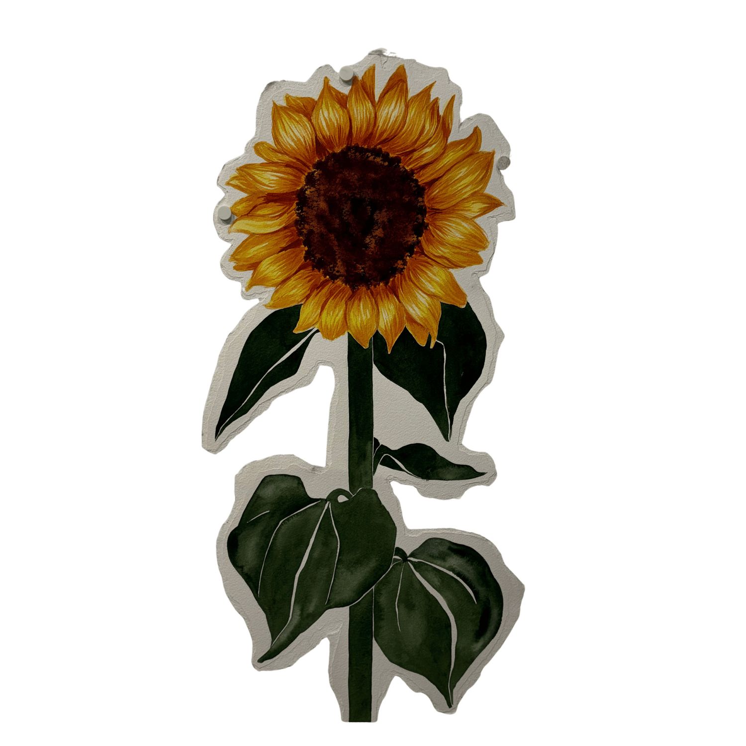 Miranda Kyle - Within The Garden; Sunflower I