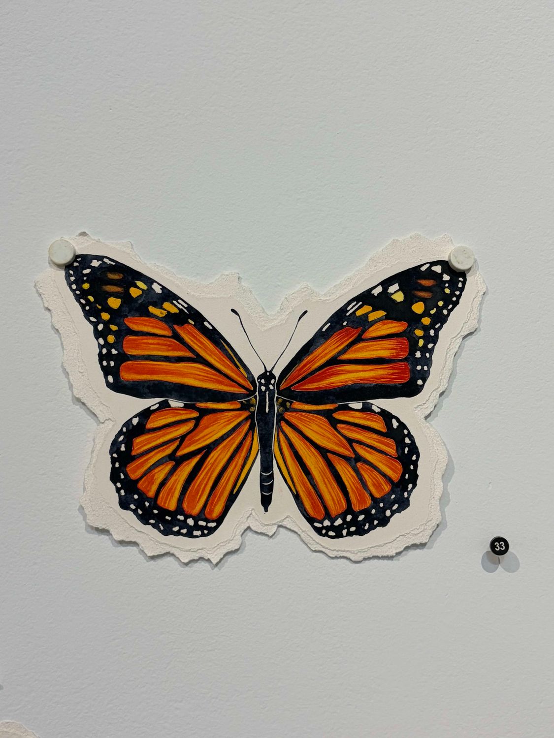 Miranda Kyle - Monarch