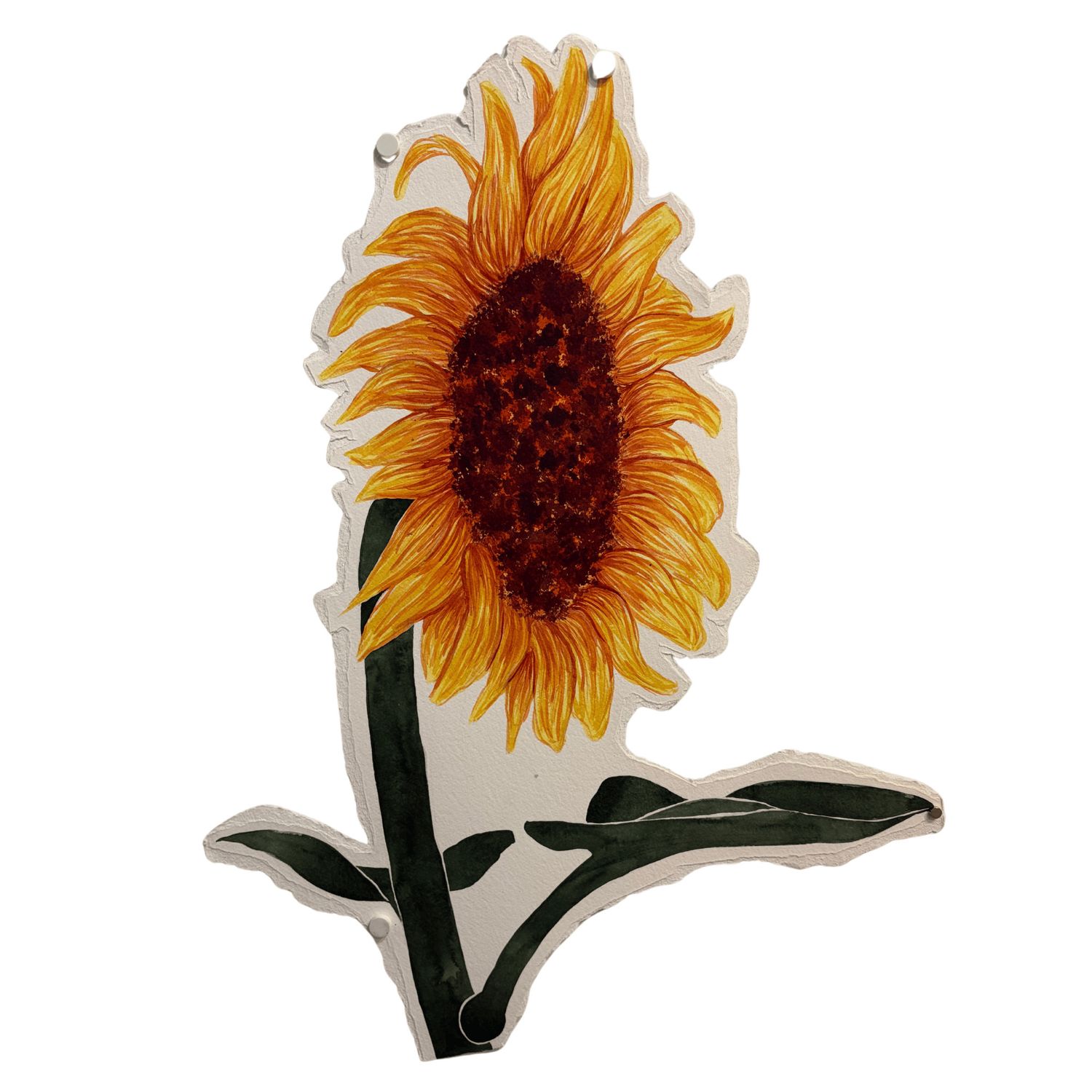 Miranda Kyle - Within The Garden; Sunflower IV