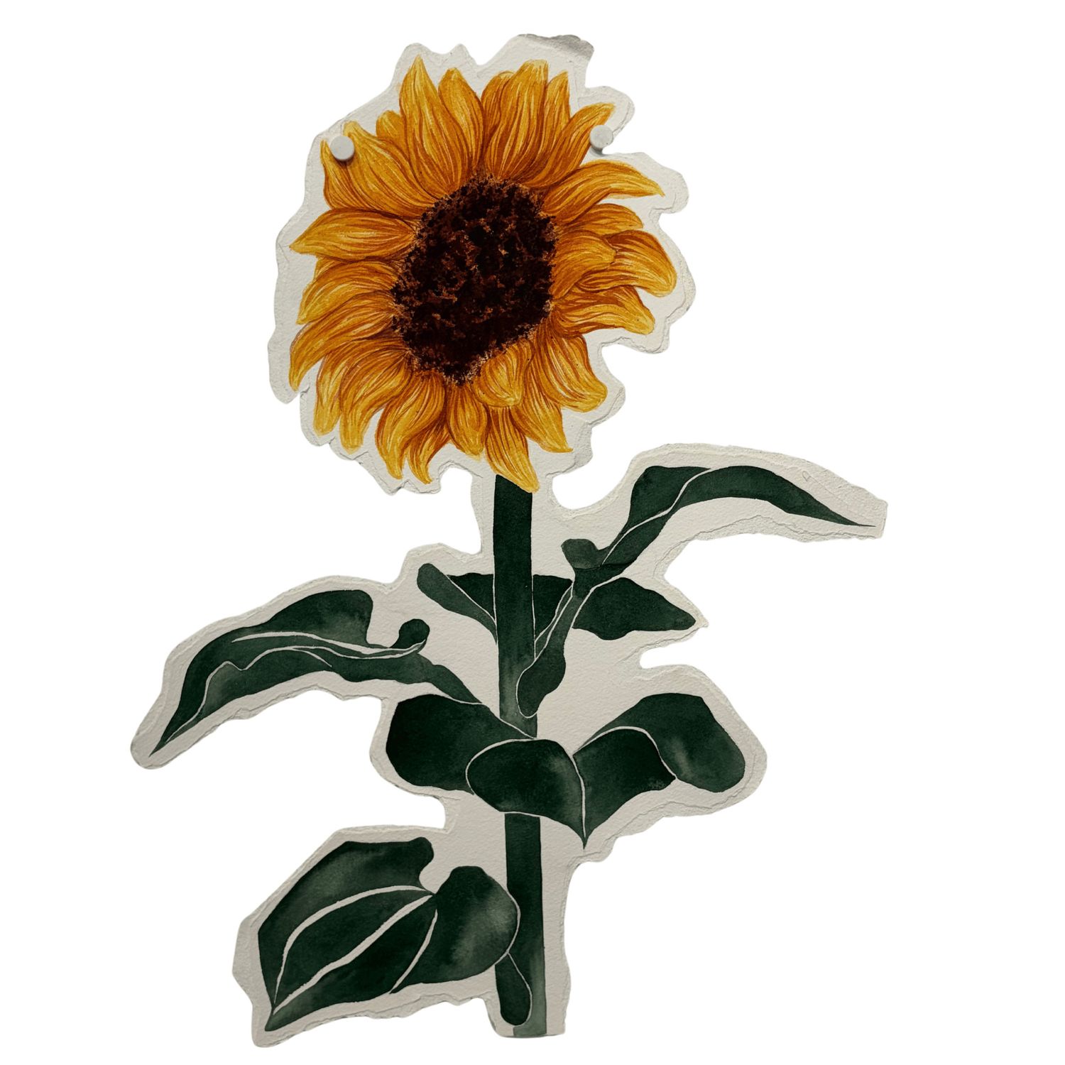 Miranda Kyle - Within The Garden; Sunflower II