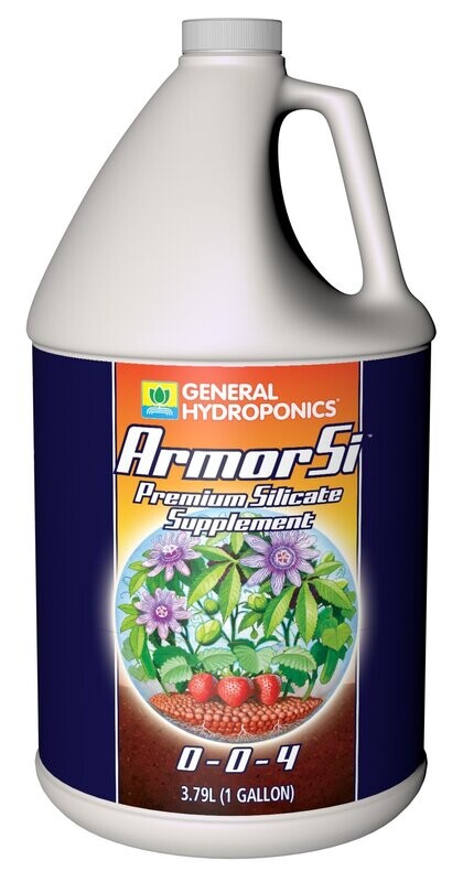 Armor SI 1 Gallon