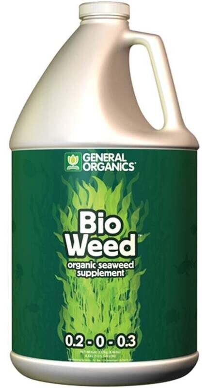 BioWeed Gallon