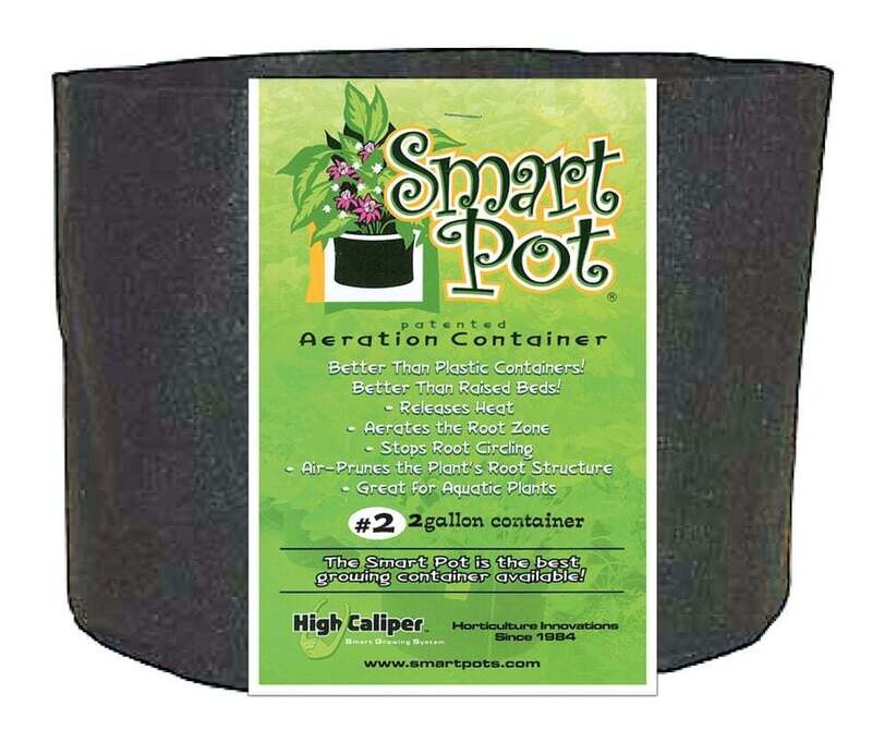 2 Gallon Smart Pot 8&quot;x 7&#39;&#39;