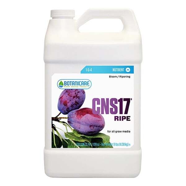 CNS17 Ripe 1 Gallon