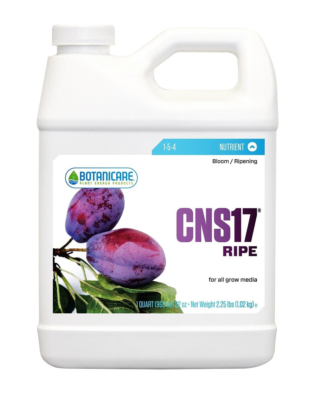 CNS17 Ripe 1 Quart