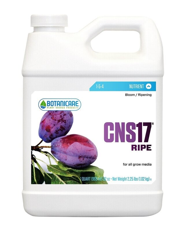 CNS17 Ripe 1 Quart