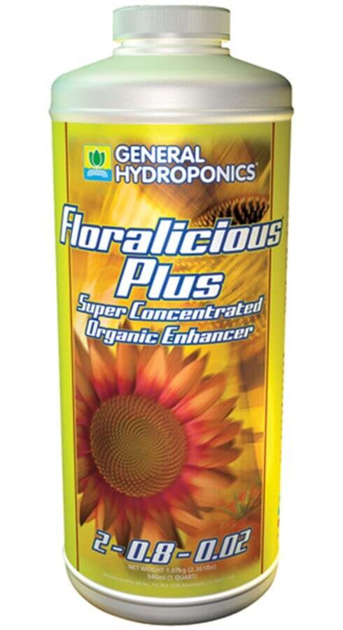 Floralicious Plus 16 oz