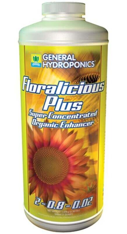 Floralicious Plus 16 oz