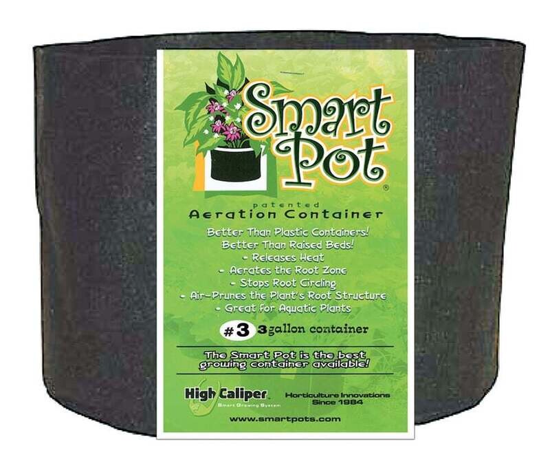 3 Gallon Smart Pot 10&quot;x 7.5&quot;