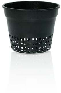 6&quot; Net Cup