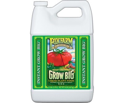 Grow Big Liquid Concentrate 1 Gallon