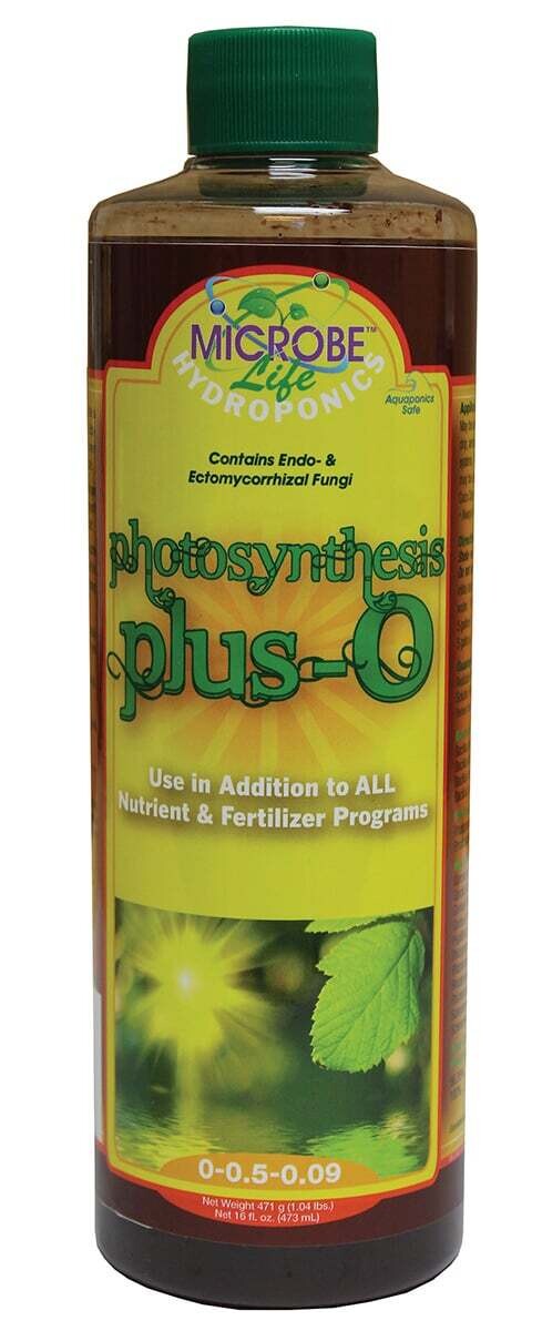 Photosynthesis Plus 16oz
