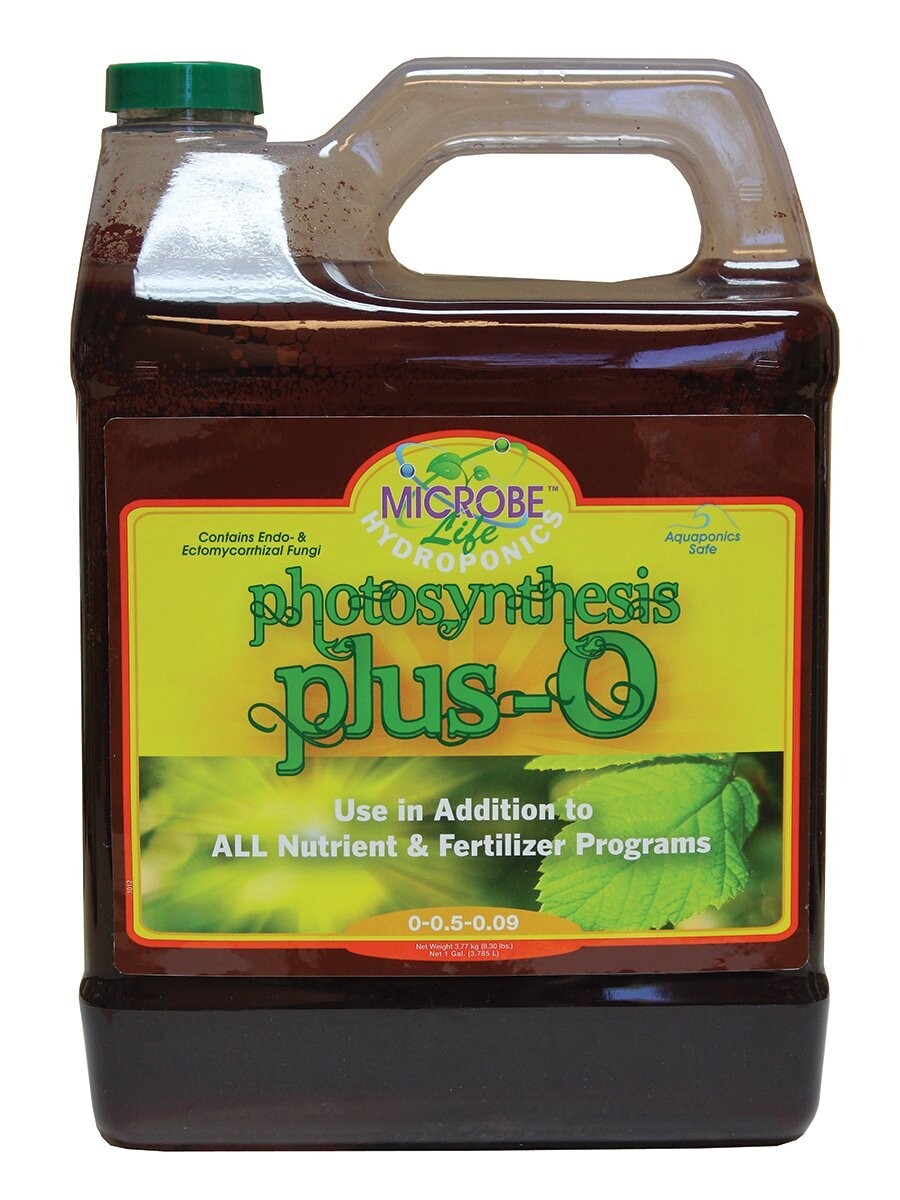 Photosynthesis Plus Gallon