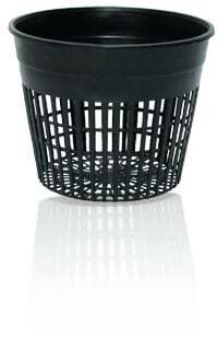 5&quot; Net Cup