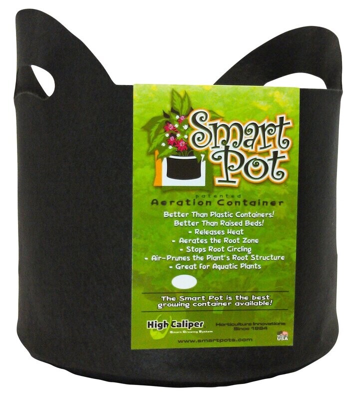 3 Gallon Smart Pot w/Handles