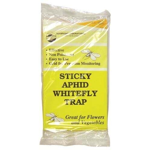 Sticky Aphid Whitefly Yellow Trap