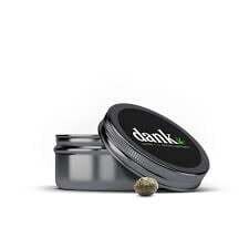 Dank Seeds OG Sherbet 12 Pack Feminized