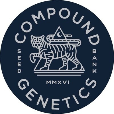 Compound Genetics Platinum Pavé FEM 13 Pack