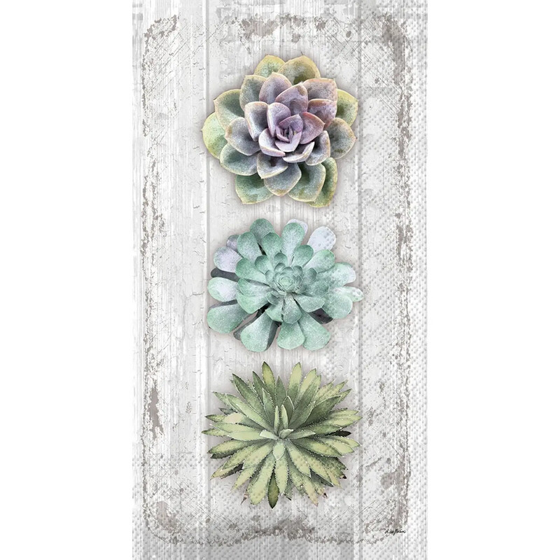 Succulents Guest Napkins