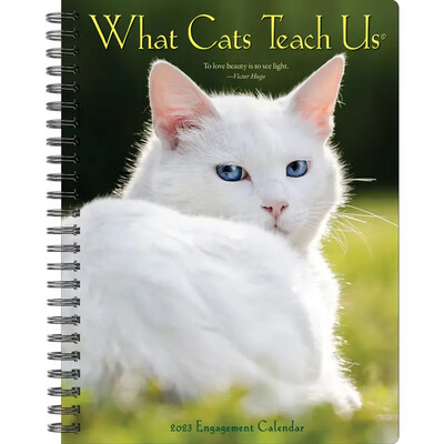 What Cats Teach Us Planner