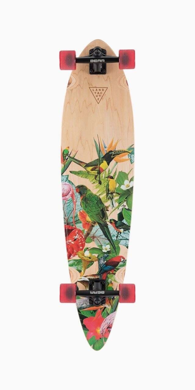 Landyachtz Condor Paradise