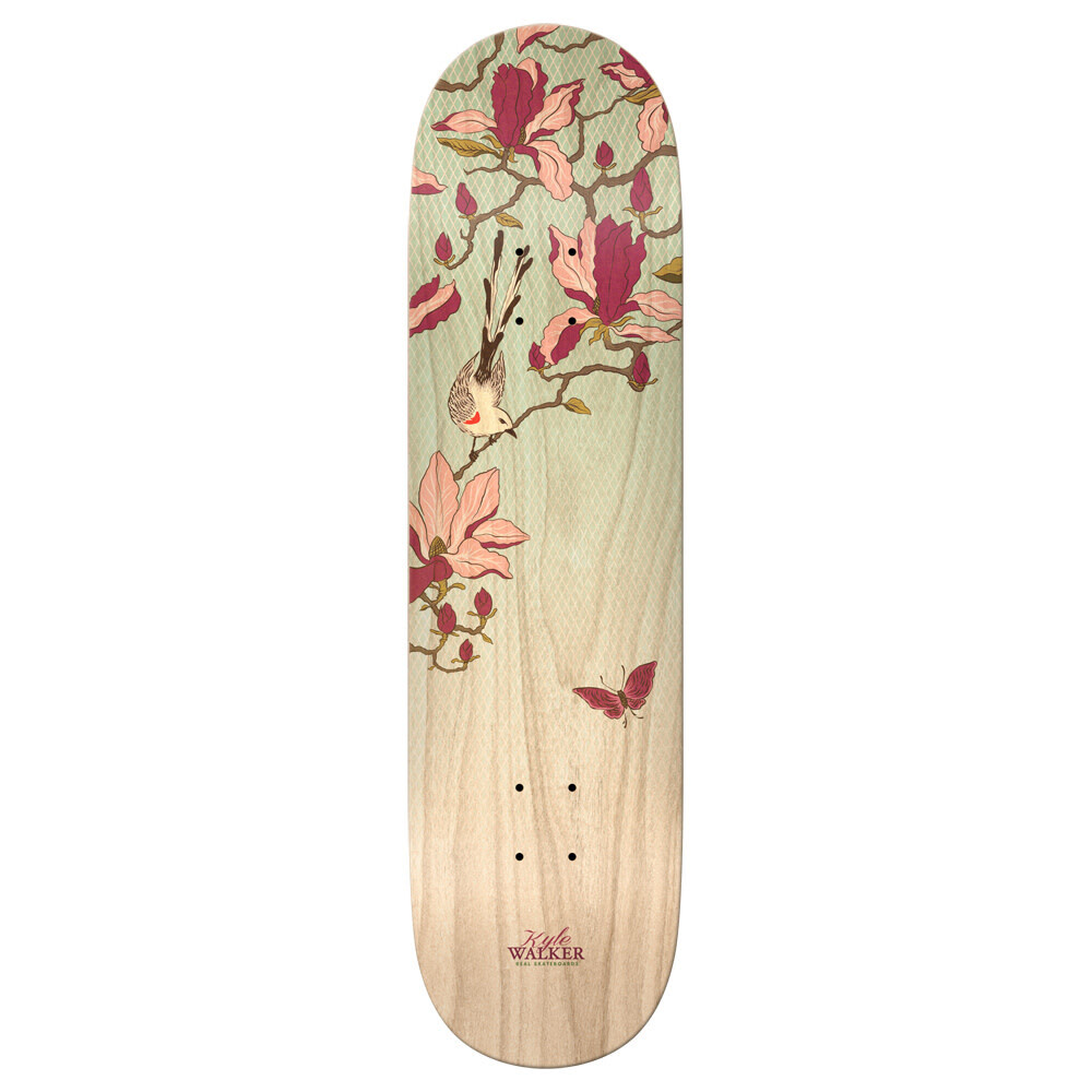 Real Kyle Magnolia 8.38 Full
