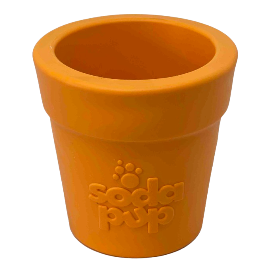 Sodapup Flower Pot