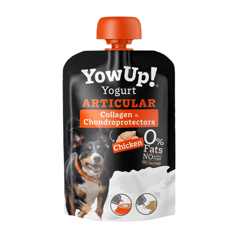YowUp! Yogurt Kip - Articular