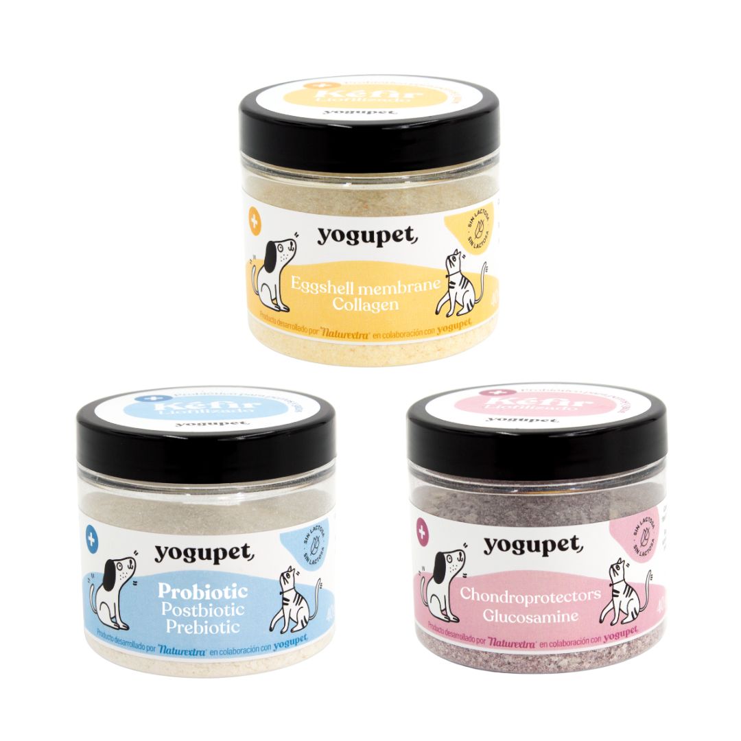 Yogupet gevriesdroogde kefir