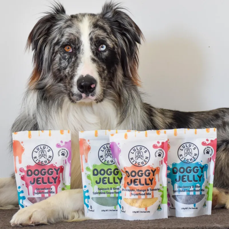 Doggy Jelly