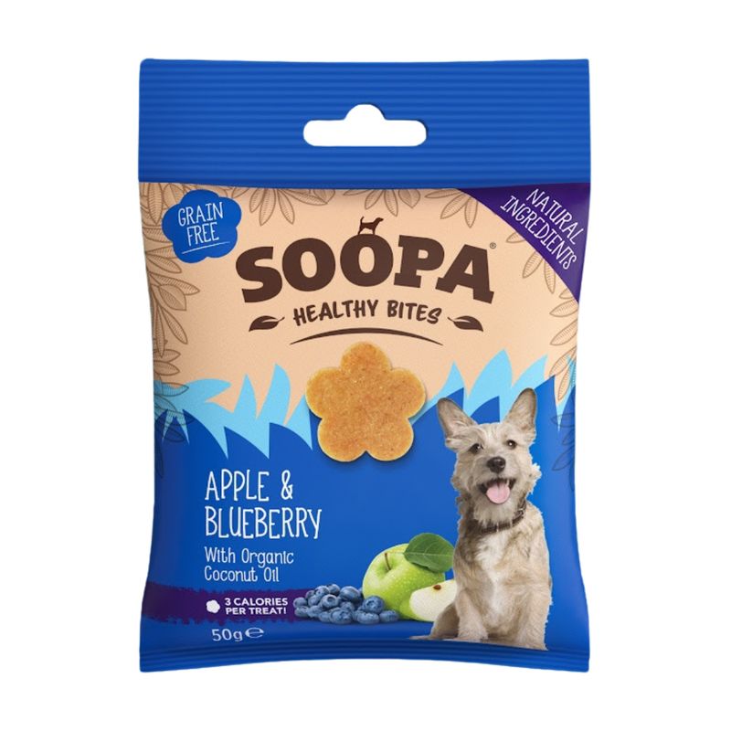 Apple &amp; Blueberry Healthy Bites