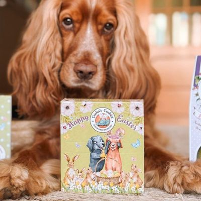 Cooka's Cookies Easter Egg Hunt