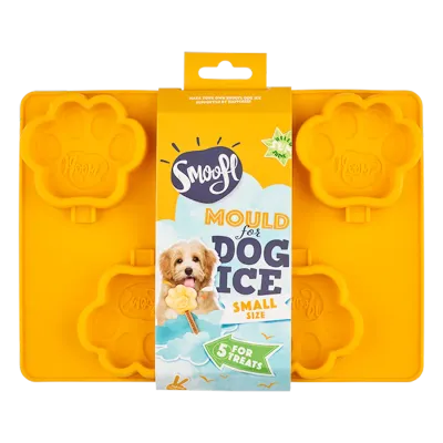 Smoofl Ice mould