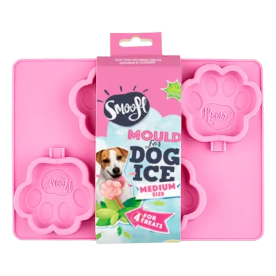 Smoofl Ice mould