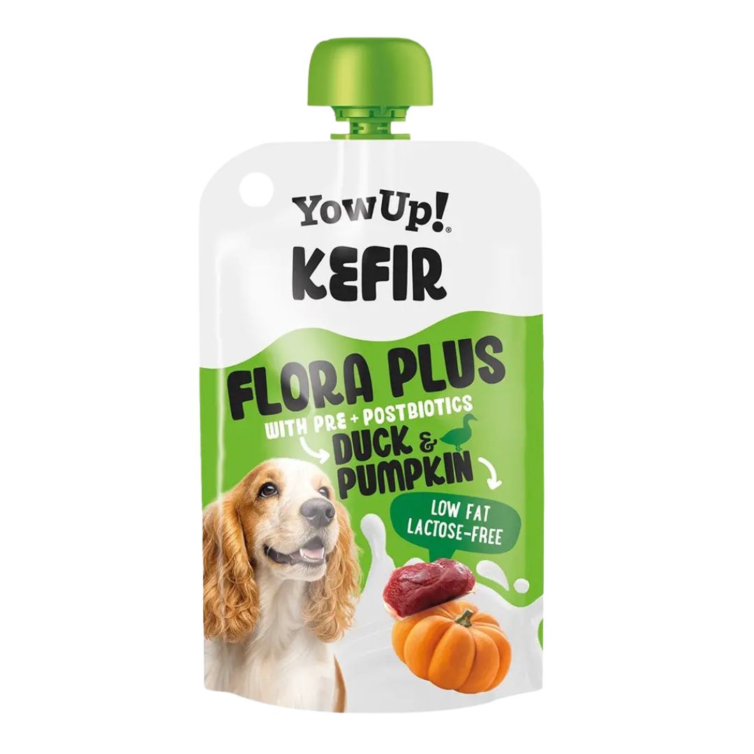 YowUp! Kefir - Eend &amp; Pompoen