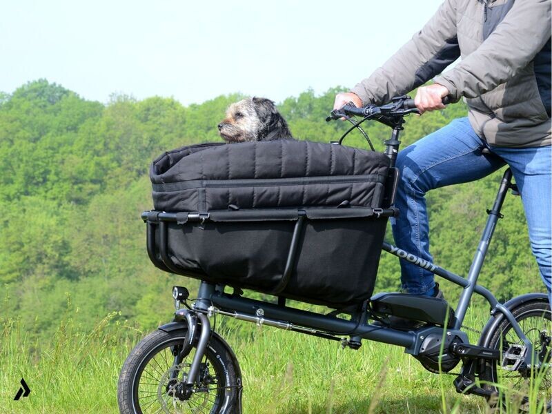 YOONIT E-Bike inkl. Dog Seat im Family Carrier