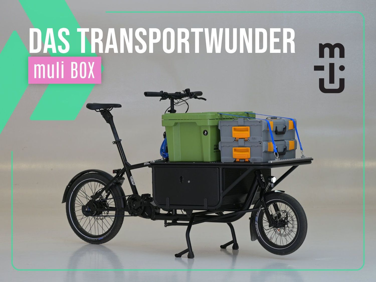muli Motor st pro BOX