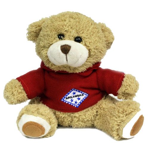 AR Plush Bear State Flag Hoodie